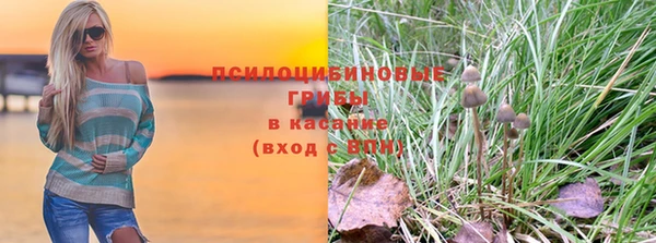 ALPHA PVP Коряжма