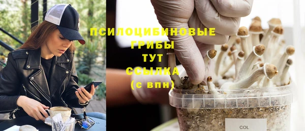 Альфа ПВП Корсаков