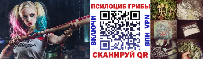 Купить закладки  Болхов  Галлюциногенные грибы прущие грибы 